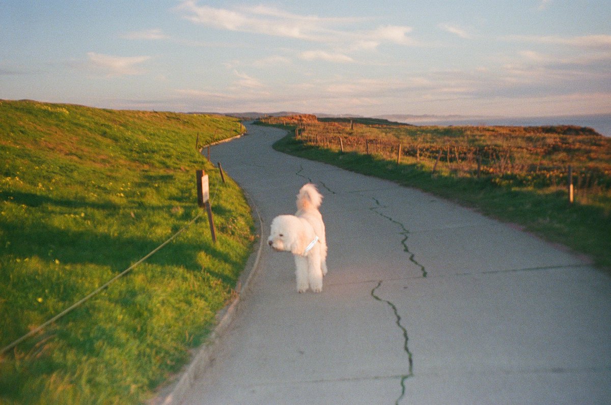 california on film