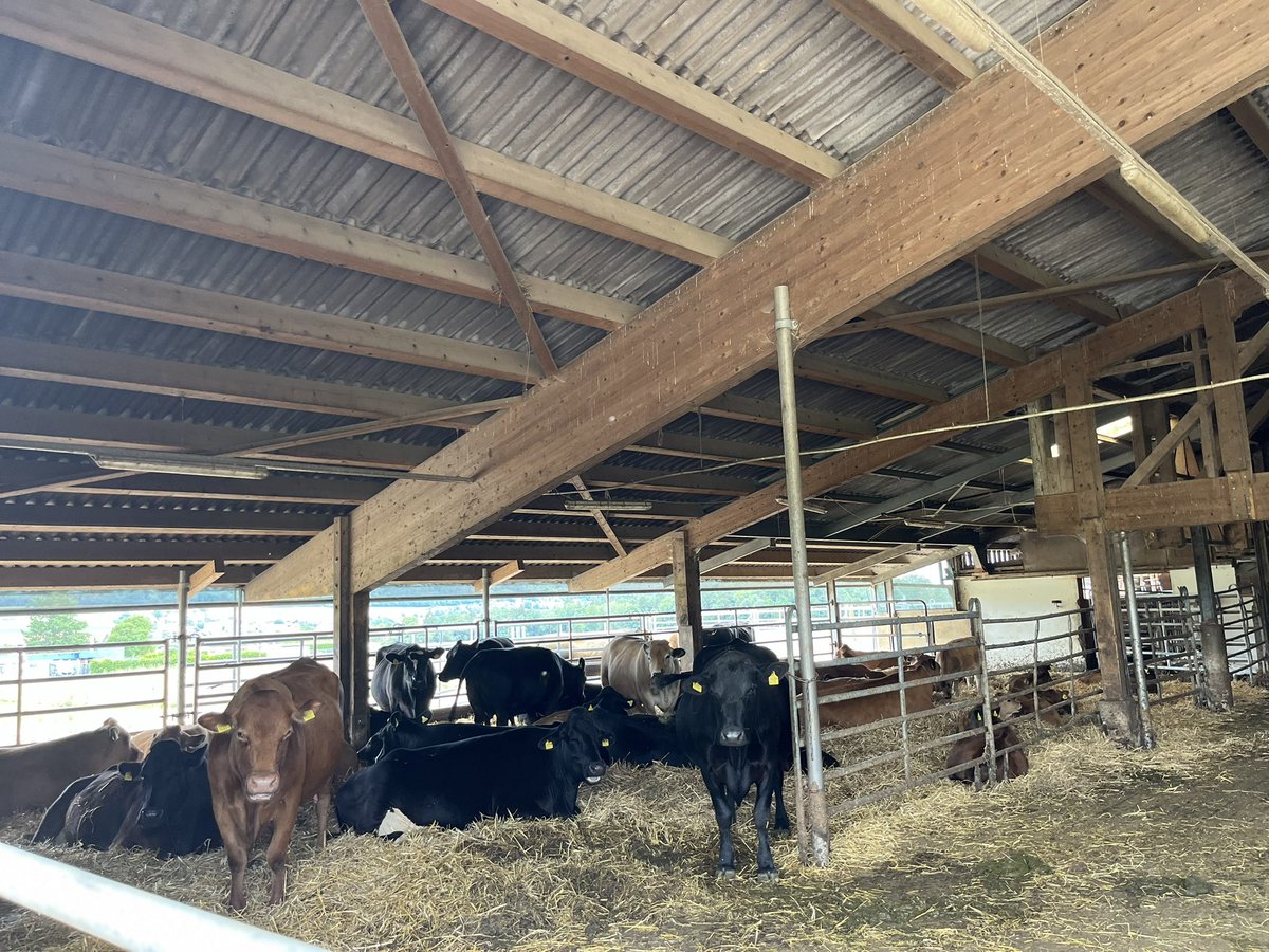 RobertFinger1's tweet image. Sehr interessanter Besuch heute auf dem Betrieb von Stéphane und Anne Challandes in Fontainemelon, Neuchâtel

Spannende Innovationen wie Quinoa, Linsen, Kichererbsen und Lupinen im biologischem Anbau. 

Danke euch für die Gastfreundschaft!