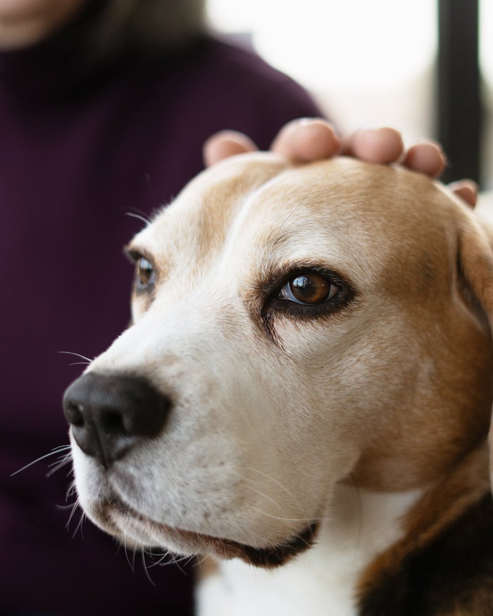 TheLongSOM's tweet image. A program developed by @UTHealthSA researchers is giving patients a new reason to look forward to their next therapy session. bit.ly/41r1J6p