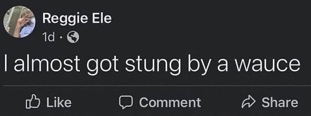 hydra (@blephin_) on Twitter photo 