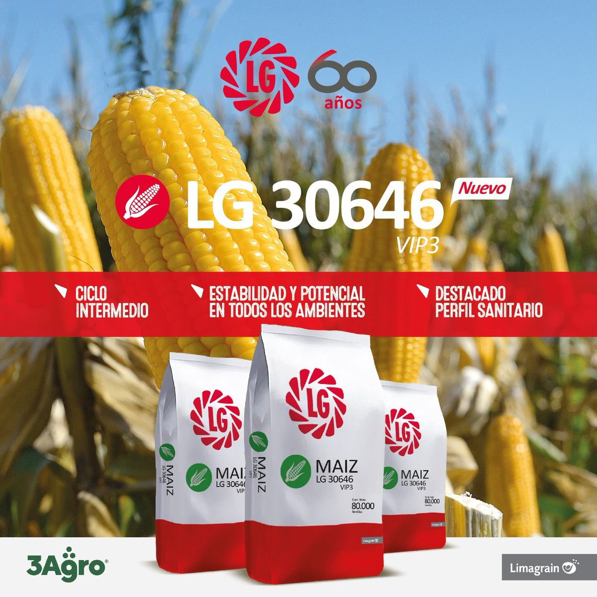 📣𝗡𝗨𝗘𝗩𝗢>>>𝗟𝗚 𝟯𝟬𝟲𝟰𝟲 𝗩𝗜𝗣𝟯⤵️

🏅Alto potencial de rendimiento 
🏅Estabilidad en diferentes ambientes
🏅Destacada velocidad de secado
🏅Excelente sanidad de caña y espiga 

<a href="/lgsemillas/">LG SEMILLAS 🌽🌻🌾🌱</a> 

#3agro #maiz #agrouruguay