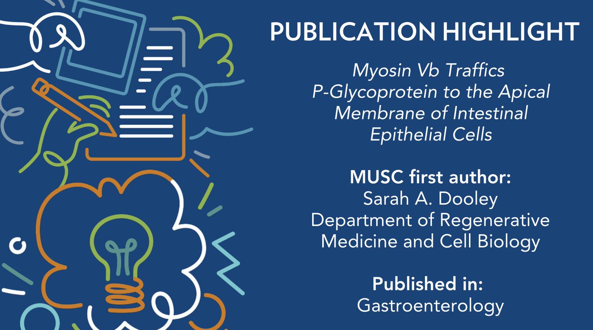 Check out this recent publication featured in Gastroenterology! MUSC first author: Sarah A. Dooley, Department of Regenerative Medicine and Cell Biology. 
Click to read: bit.ly/4jv37ff