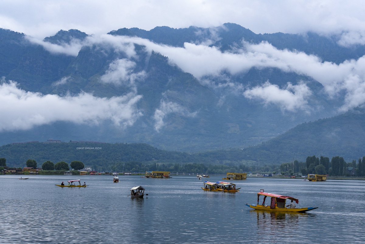 ArifMah48958702's tweet photo. Shells Sink, Dreams Float.
Life is Good on our Boat.
#DalLake
#KashmirCalling https://t.co/wMl2wjCfjh