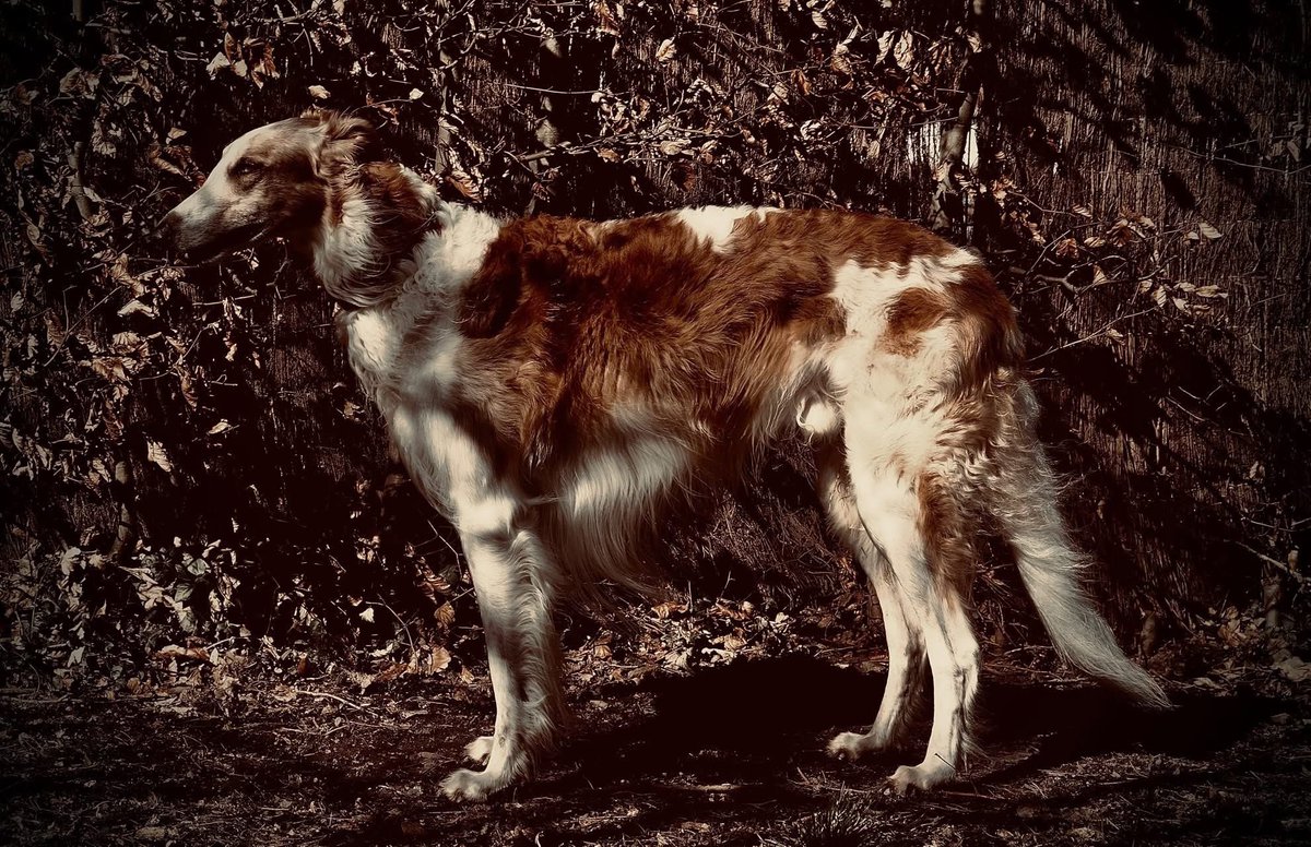 MARC LERCHS tweet media