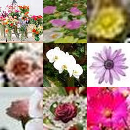 Now live ~ https://internet(dot)flowers ↓
