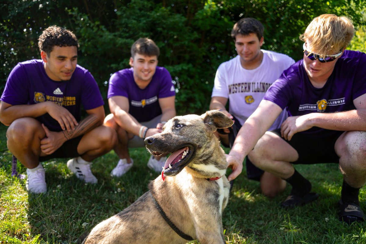 WIUFootball's tweet image. Had a good morning helping clean and walking dogs 🐕 at the McDonough County Humane Society!

#GoNecks | #OneGoal | #ECI