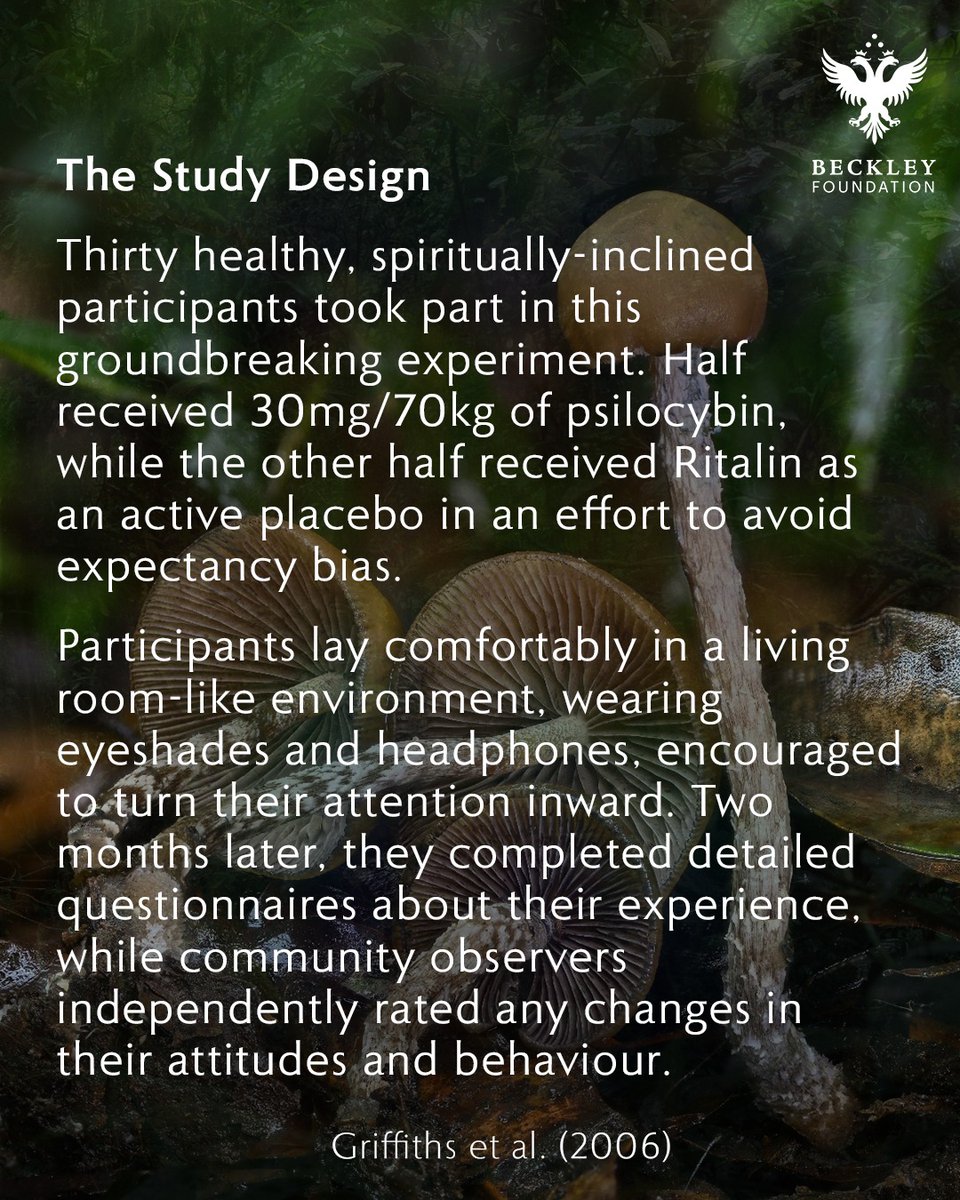 BeckleyResearch's tweet image. Psilocybin &amp;amp; Mystical Experiences 🍄✨

A breakdown of the groundbreaking 2006 Johns Hopkins study that helped launch the modern renaissance of #psychedelic research. 

&quot;Psilocybin can occasion mystical-type experiences ..&quot;-  Griffiths et al., 2006

link.springer.com/article/10.100…