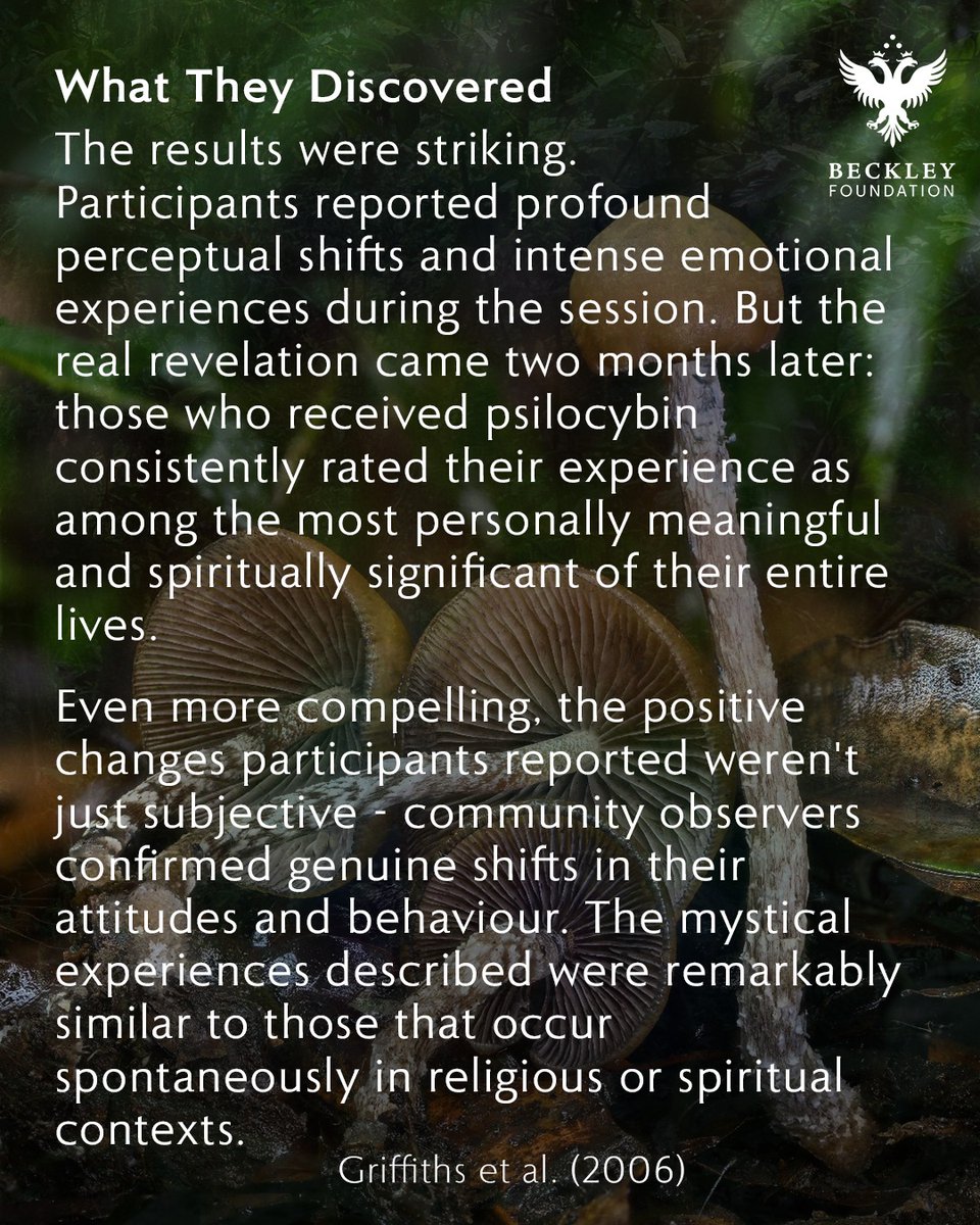 BeckleyResearch's tweet image. Psilocybin &amp;amp; Mystical Experiences 🍄✨

A breakdown of the groundbreaking 2006 Johns Hopkins study that helped launch the modern renaissance of #psychedelic research. 

&quot;Psilocybin can occasion mystical-type experiences ..&quot;-  Griffiths et al., 2006

link.springer.com/article/10.100…