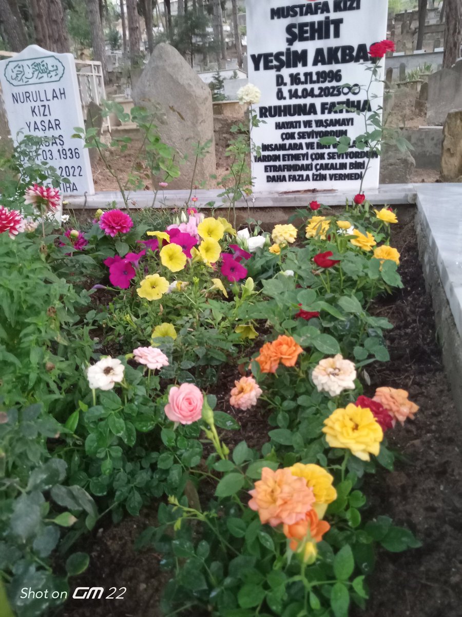 Aysunakbas73623's tweet photo. Sn. Yetkililer Yeşim Akbaş 28 yaşına girdi Bizde yeni elbiseler aldık kıymetli kızımıza yakışmışmı
#YeşimİçinAdilKarar
@TCYargitay Adalet @adalet_bakanlik Adalet 
@HSKKurumsal @haksavdernegi @hakimvesavci 
@hkmsvc Adalet istiyoruz 
Sadece Adalet https://t.co/mkA9fmvkQN