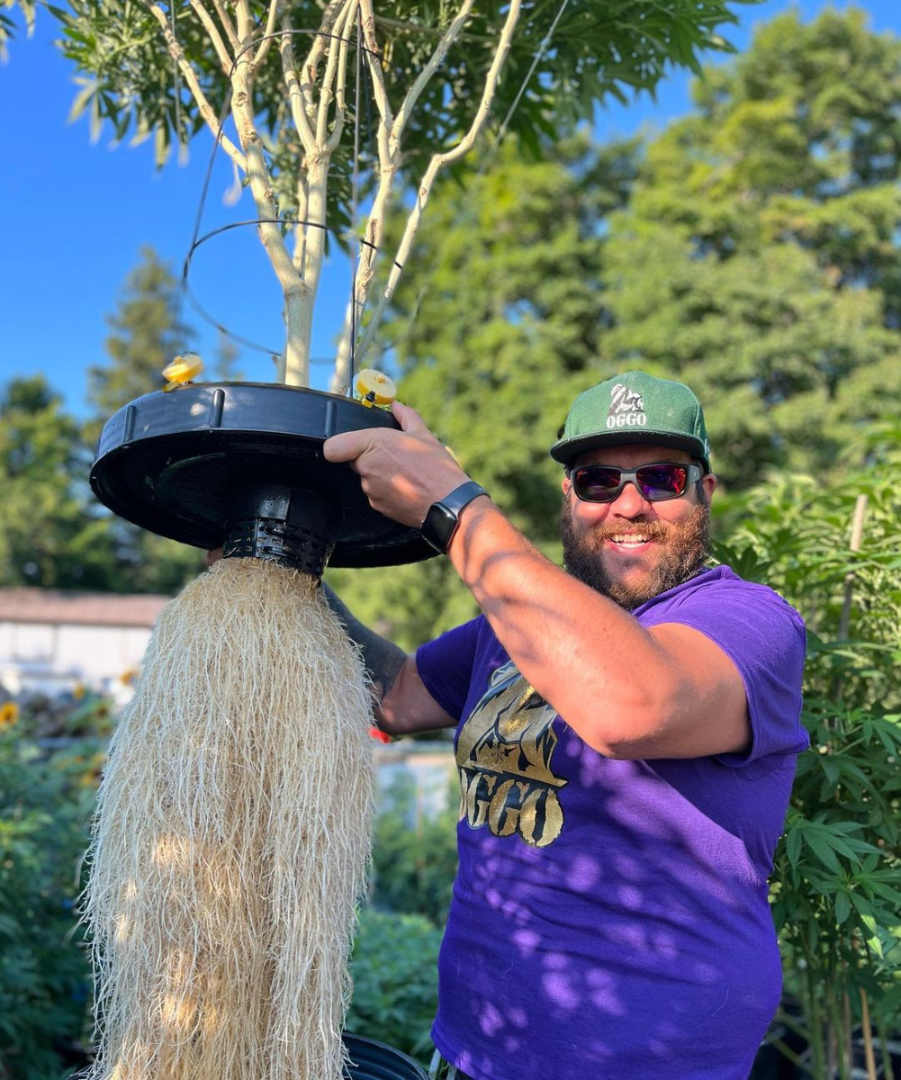 SeedsmanSeeds's tweet image. Root game strong? Prove it in the comments 👇
📸 Gelat. OG by Andrew.Heckman