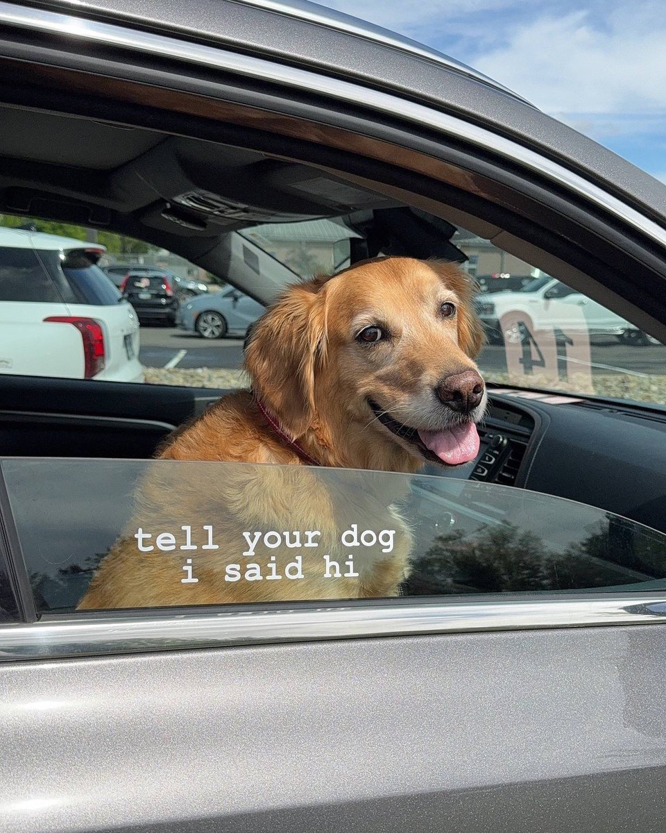 WeRateDogs tweet media