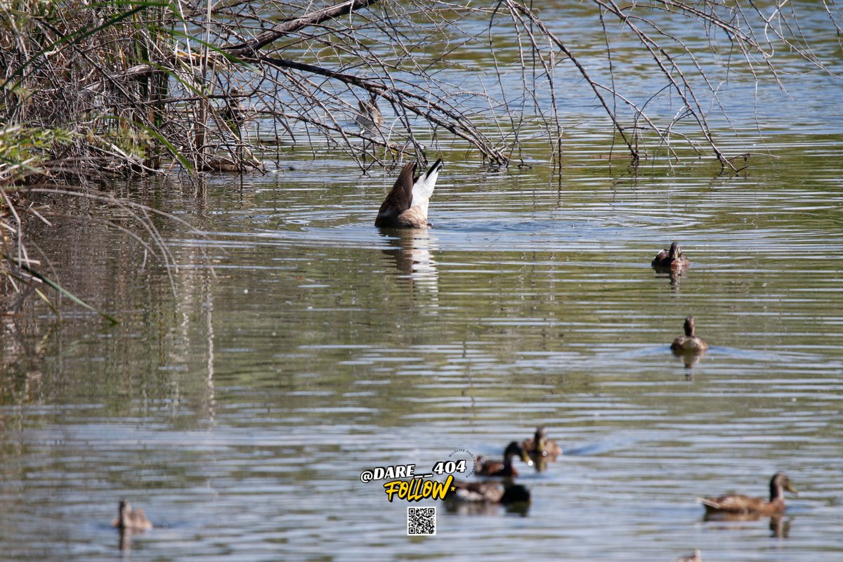 Dare404 (@dare__404) on Twitter photo 