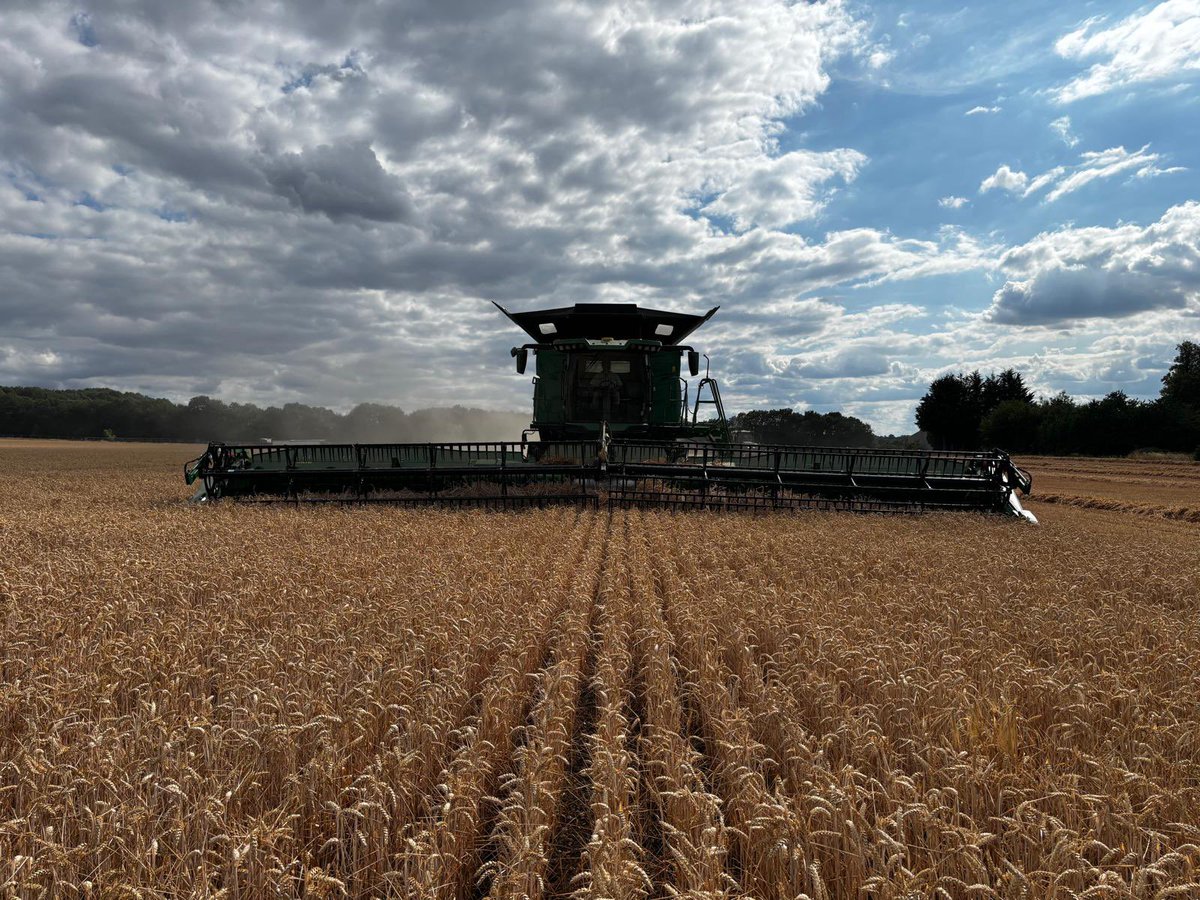 Eveey Hunter tweet media