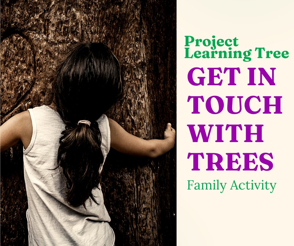 NC PLT (@pltinnc) on Twitter photo Are you looking for something fun to do with the kids this summer?
Check out Get in Touch With Trees, a free & fun activity from <a href="/PLT/">Project Learning Tree</a>, to discover shapes & textures in nature using trees at a local park, a mystery box, & touch! #FamilyForestFun
plt.org/family-activit… Are you looking for something fun to do with the kids this summer?
Check out Get in Touch With Trees, a free & fun activity from <a href="/PLT/">Project Learning Tree</a>, to discover shapes & textures in nature using trees at a local park, a mystery box, & touch! #FamilyForestFun
plt.org/family-activit…