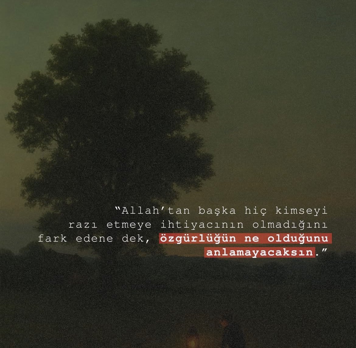 akif (@makifturgutt) on Twitter photo 