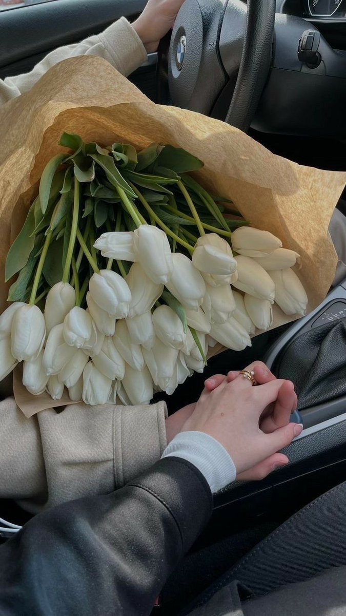 Tulips Library (@tulipslibrary) on Twitter photo 