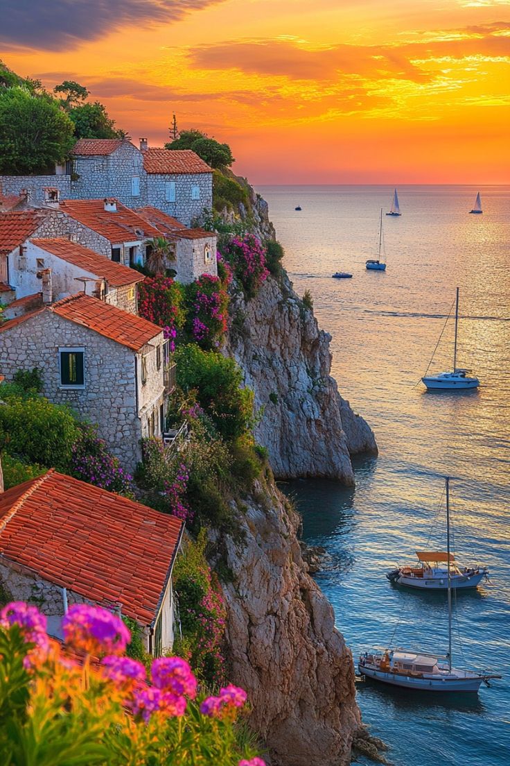 Aesthetic (@natureeveryone) on Twitter photo 