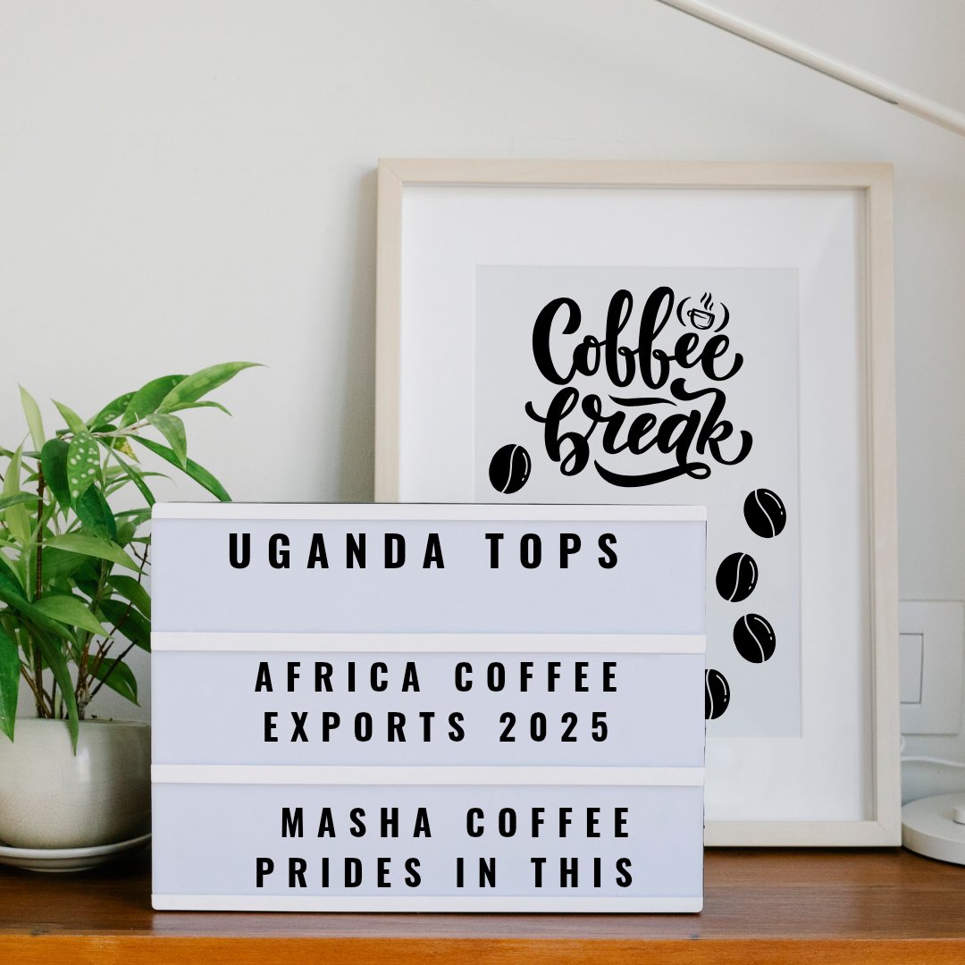 Excellent news for us. Credit goes to all the SMEs and smallholder coffee farmers who contribute 80% of the coffee. Credit to <a href="/ITCnews/">International Trade Centre (ITC)</a> through the <a href="/eacmarkup/">EAC MARKUP</a> II project,<a href="/MAAIF_Uganda/">MAAIF 🇺🇬</a> <a href="/CoffeeUganda/">MAAIF_Coffee Production & Development Dept</a> for making all this happen.