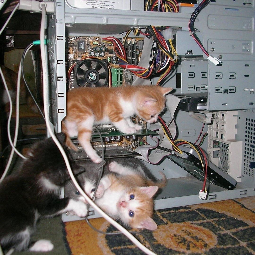 "Don't worry, our best tech support team is on the case!"