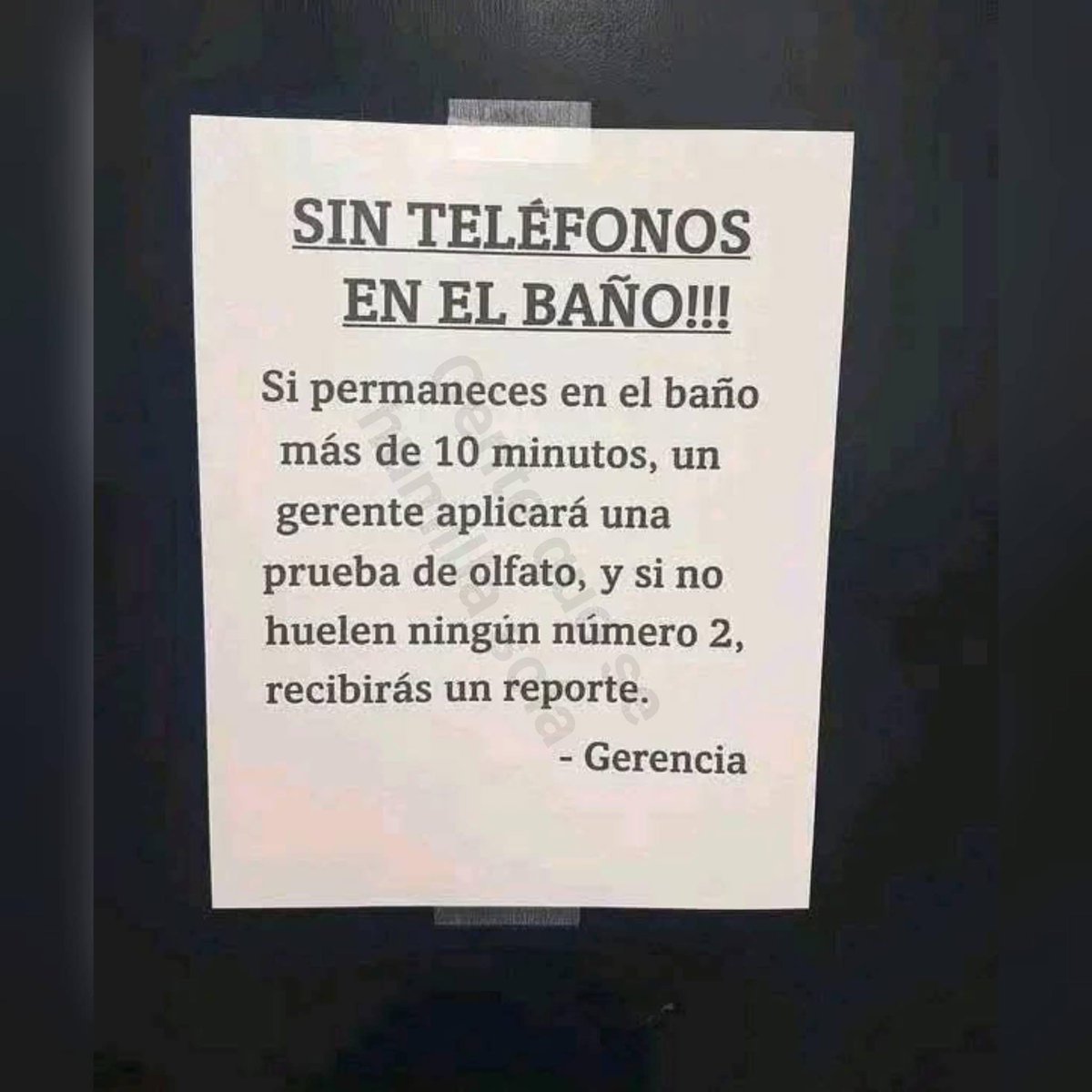 🇲🇽 México Mágico ✨ (@enmexicomagico) on Twitter photo 