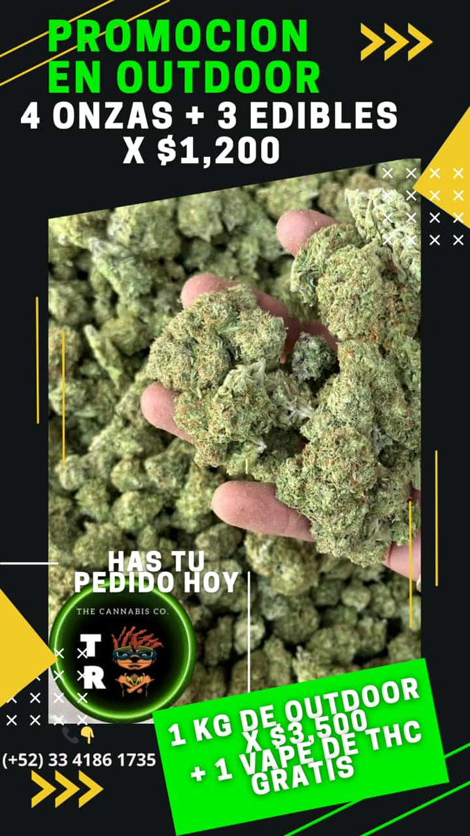 Sharis ✨🌿🔥 tweet media