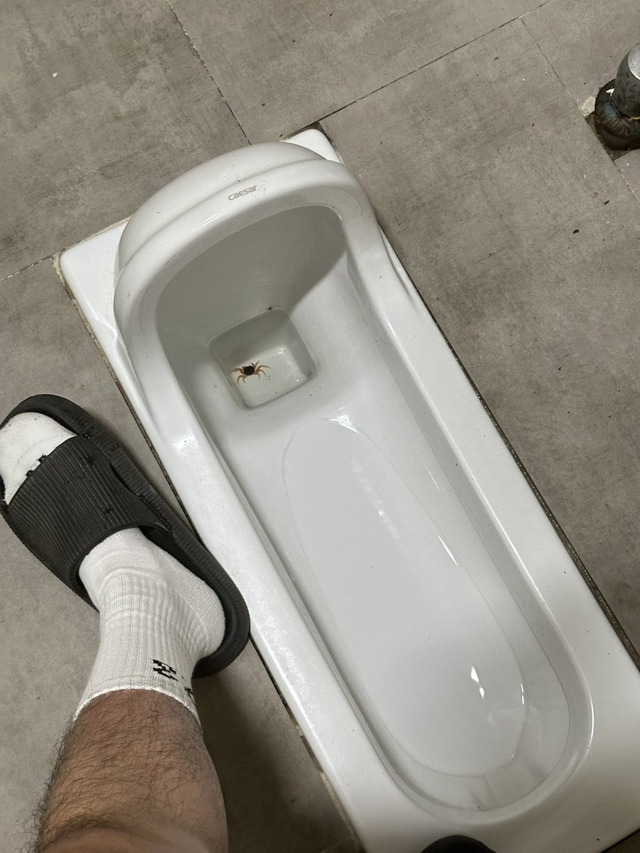 今天謝謝大家的收看 ☺️☺️