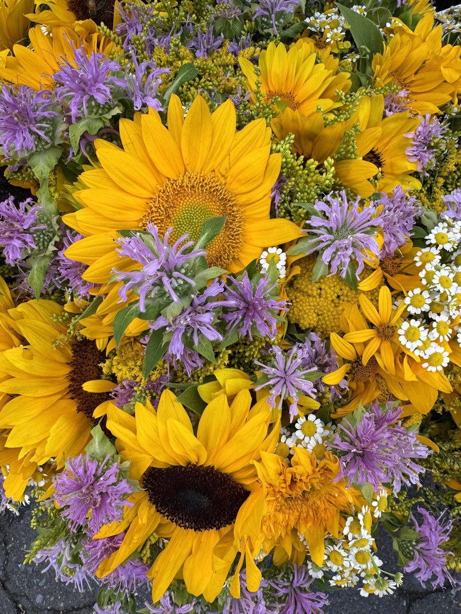 🌺 Mark’s Miami Garden tweet media