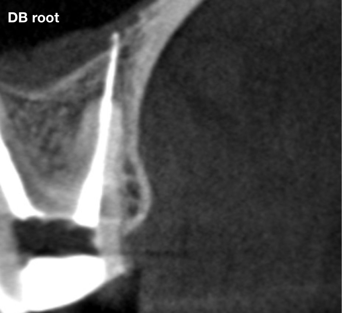 ذعار القحطاني tweet media
