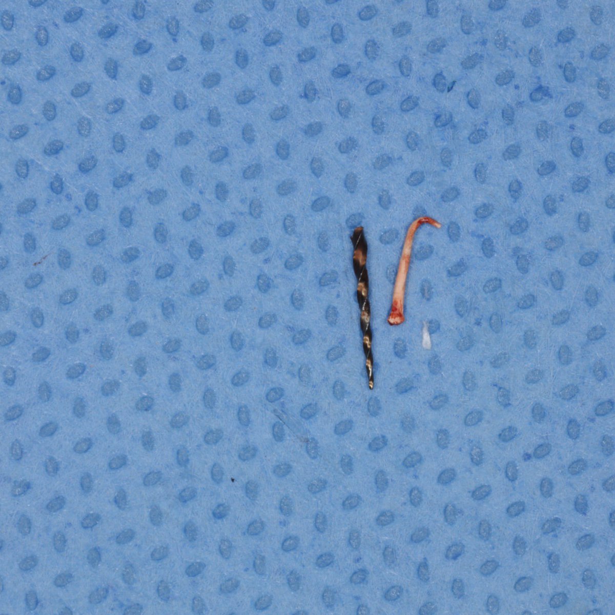 ذعار القحطاني tweet media