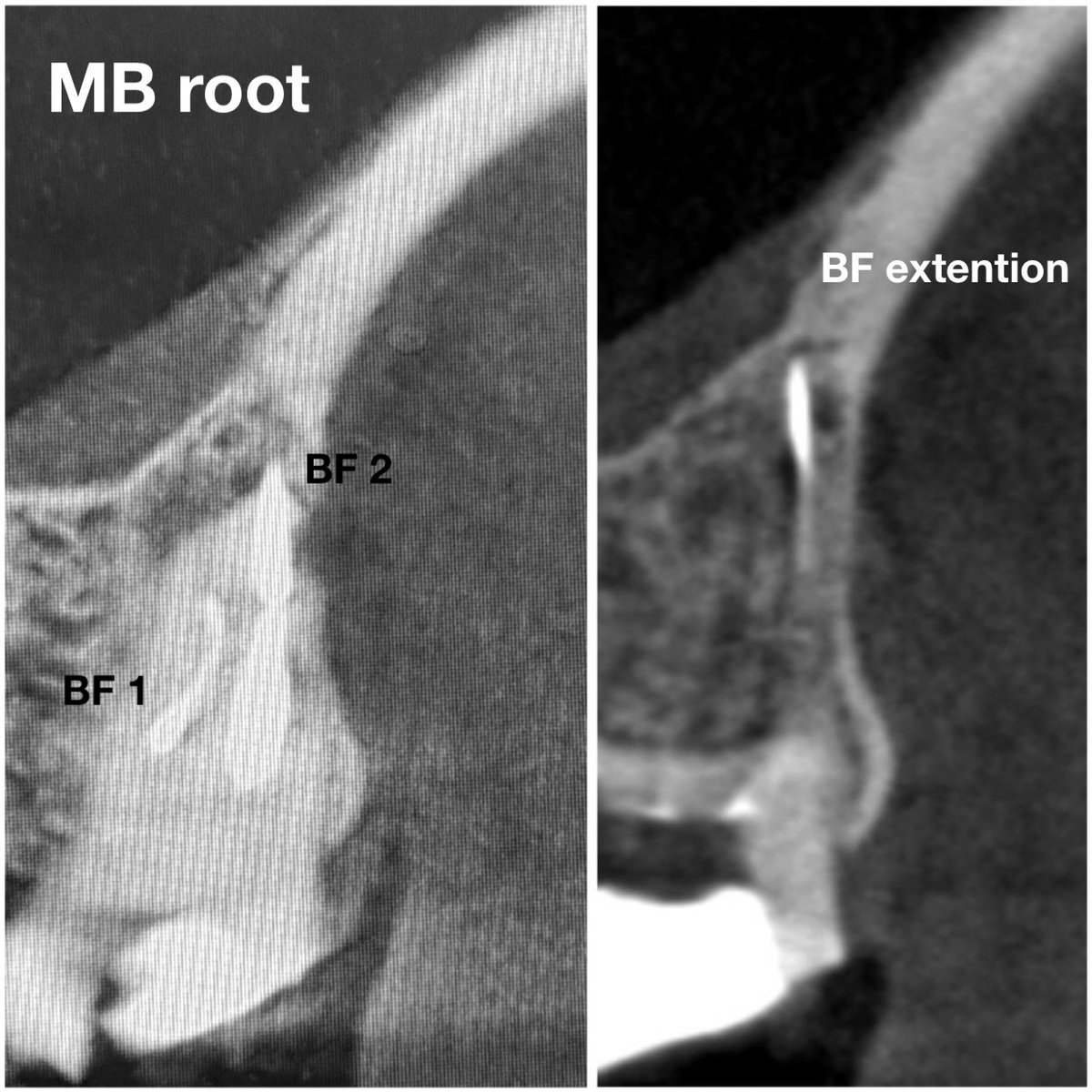 ذعار القحطاني tweet media