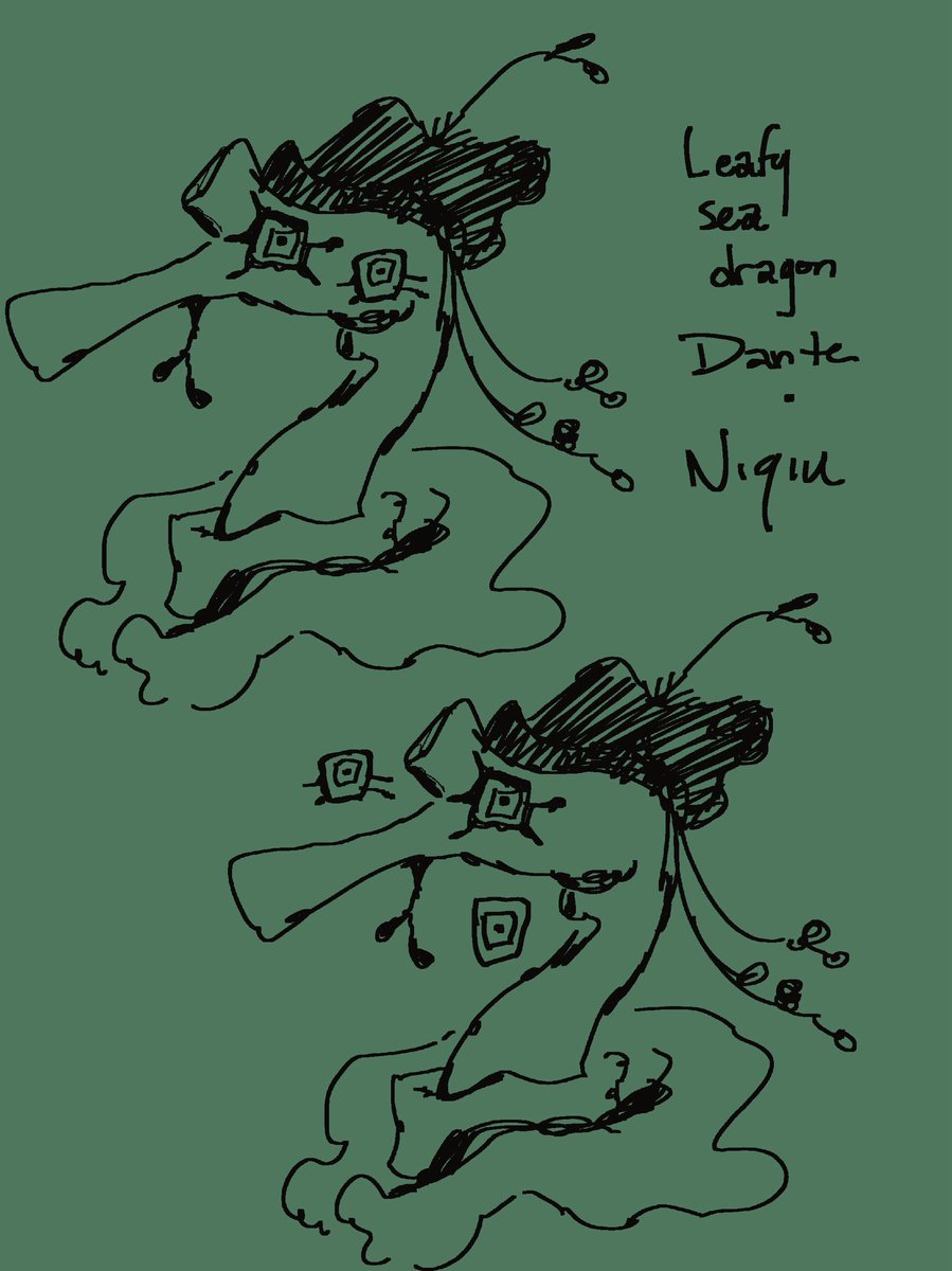 YOGOVUCHI's tweet image. Leafy sea dragon Dante