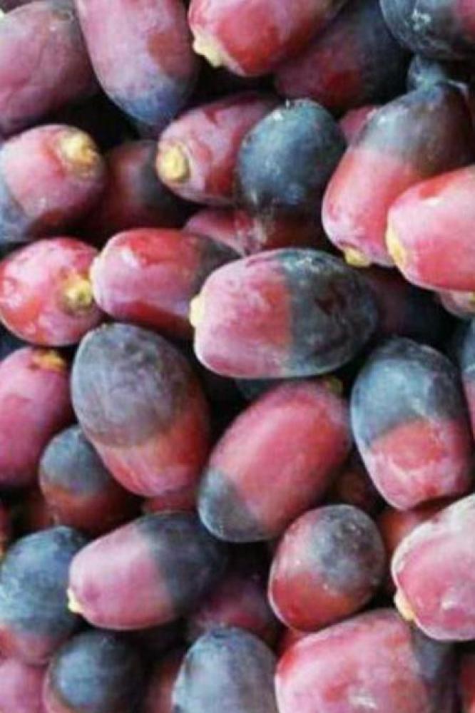 خصاب وا خنيزي ؟