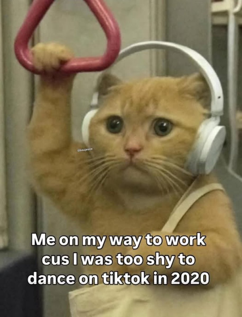 Invis🧜‍♀️ (@invis4yo) on Twitter photo 