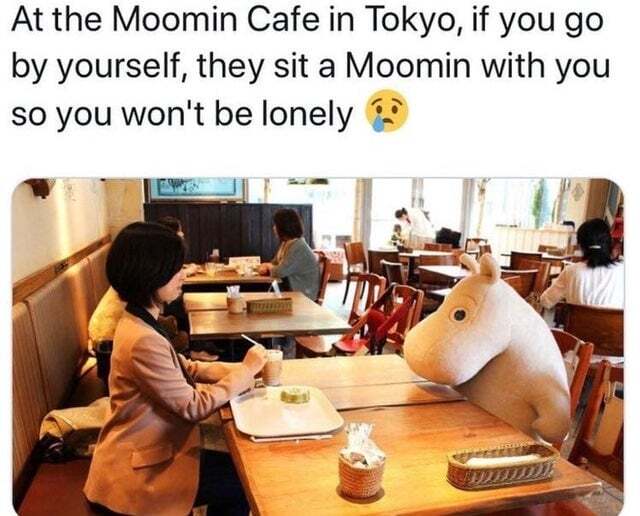 WholesomeMemes tweet media