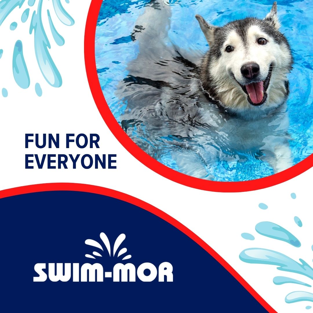 Pools aren’t just for people—your pets love them too! Make it fun for the whole family.
swimmor.com

#Swimmor #CustomPoolDesign #SwimMorCreations #PoolsOfInstagram #SwimmingPools #BackyardBliss