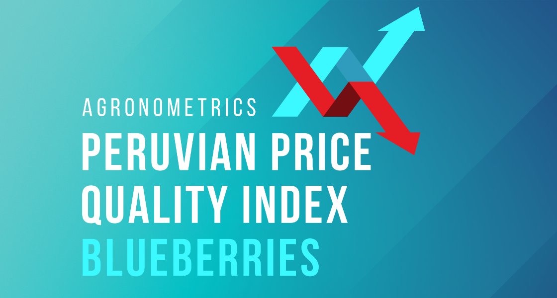 The blueberry industry is evolving 🌎🫐
From volume to quality: size, crunch, sweetness &amp; shelf life now shape prices.
A shift driven by genetics—again.
👉 Read more: stories.agronometrics.com/measuring-qual…
#blueberries #Peru #FruitInnovation #AgTech