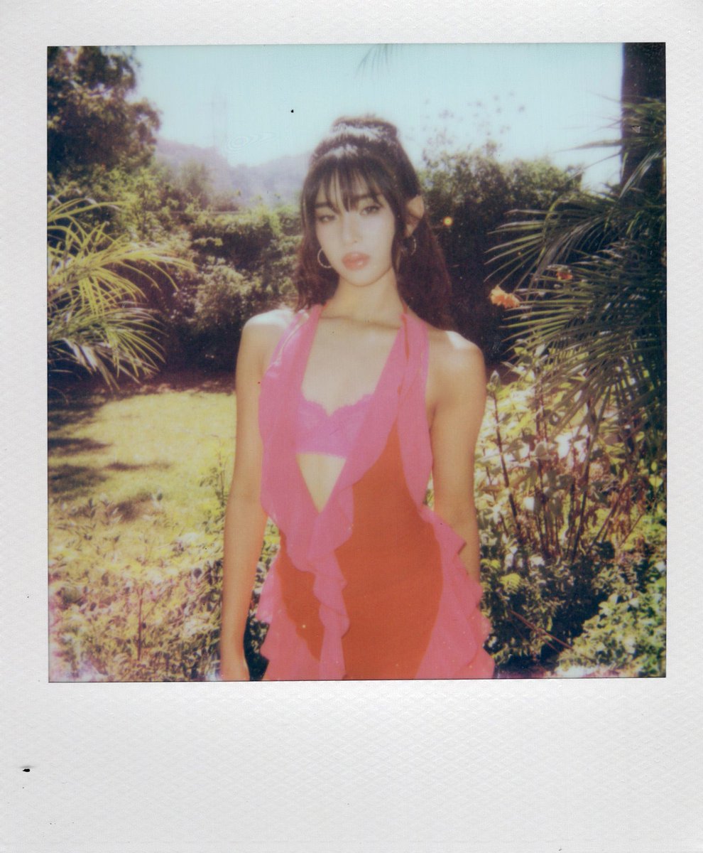 sophia files (@sophiafiles) on Twitter photo 