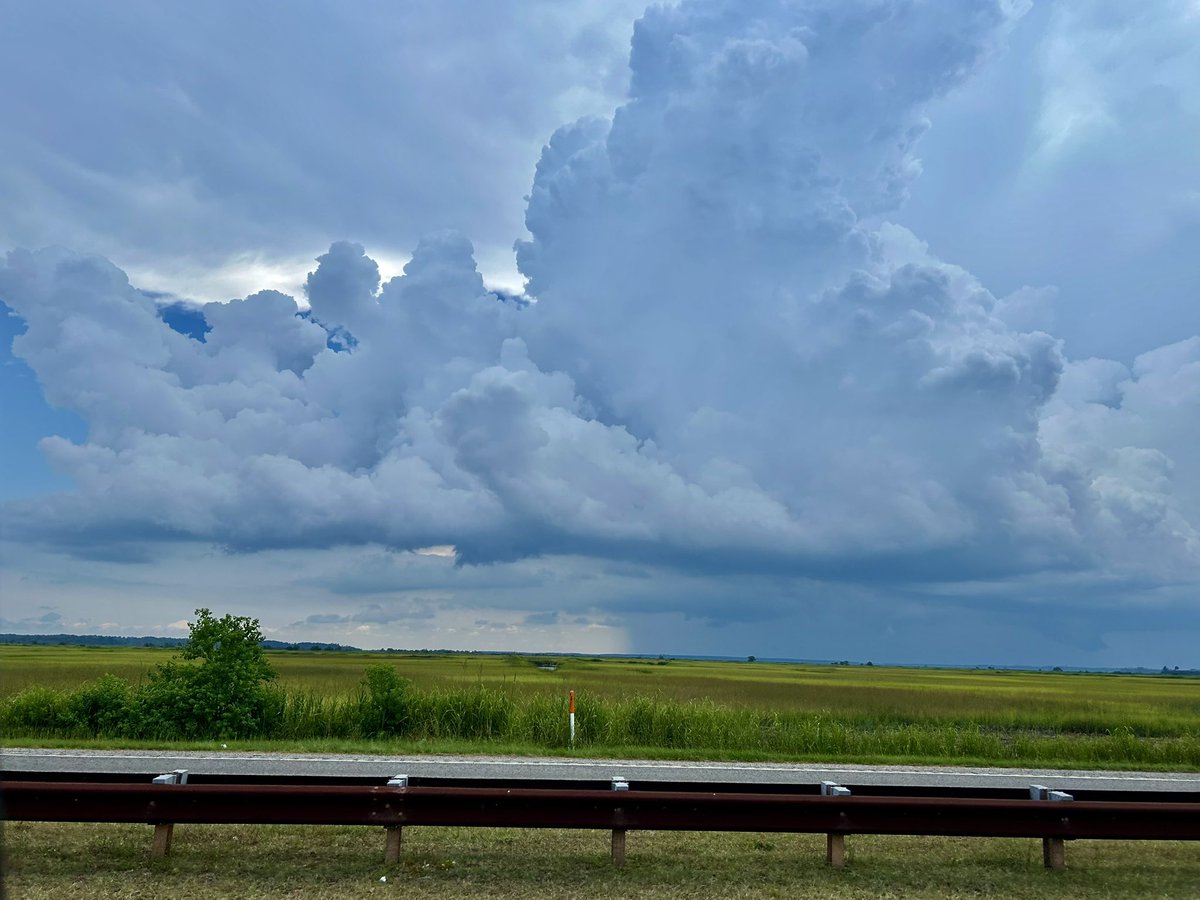 StormRider912's tweet image. Incoming thunderstorm on Charleston Highway I’m South Carolina, big CGs with this storm too! Gorgeous shelf over the marsh! #SCwx #SCwxCond @NWSCharlestonSC @jnelsonWJCL @SheaGibsonWx @WSAVAlysaC @AndrewGortonWx @RadarScope @stormfrontfreak