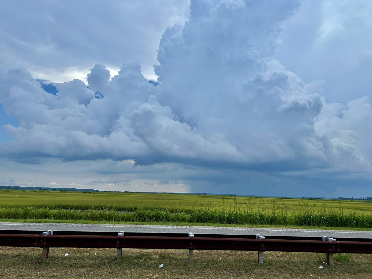 StormRider912's tweet image. Incoming thunderstorm on Charleston Highway I’m South Carolina, big CGs with this storm too! Gorgeous shelf over the marsh! #SCwx #SCwxCond @NWSCharlestonSC @jnelsonWJCL @SheaGibsonWx @WSAVAlysaC @AndrewGortonWx @RadarScope @stormfrontfreak