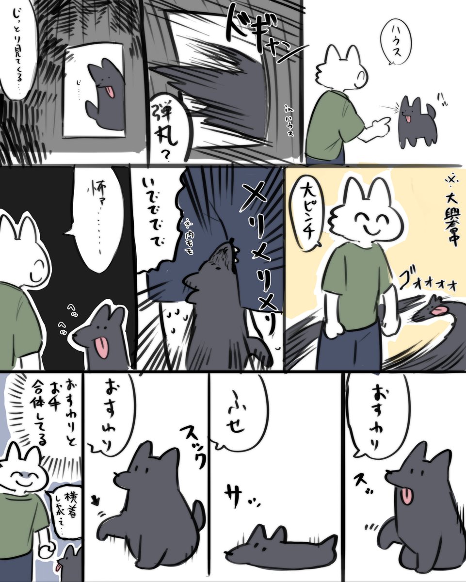 犬近況 色々コマンドを覚えてきました 
