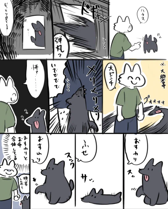 犬近況 色々コマンドを覚えてきました 