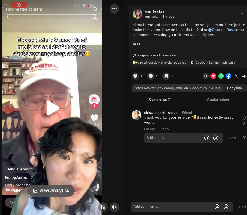 Emily Lai tweet media