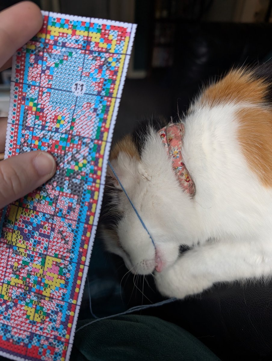 I can't do anything 🫠
#cat #crossstitching #goaway