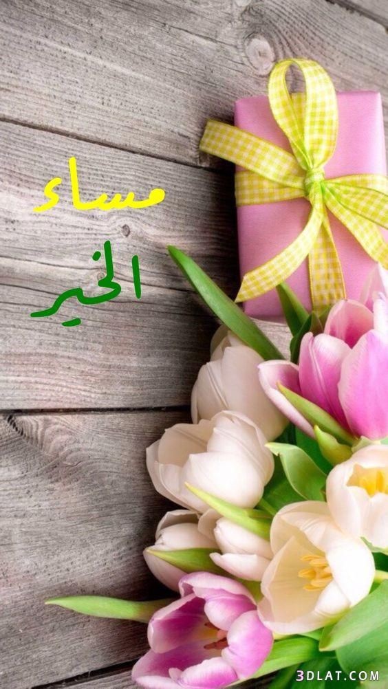 السلام عليكم ورحمة الله وبركاته 

#مساء_الخيرᅠ