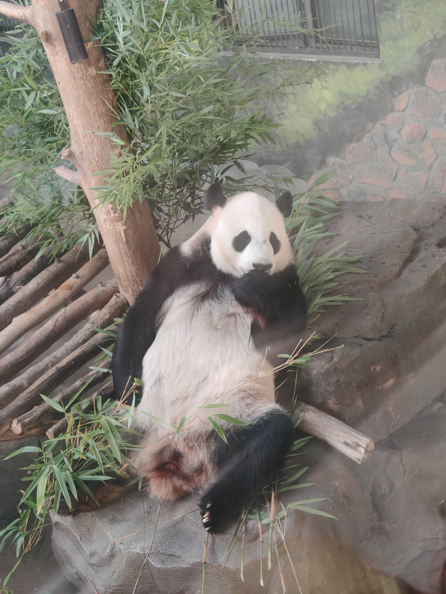 zhang74747474's tweet photo. 去南京玩差点没热死了 https://t.co/SXhXDGdnzR