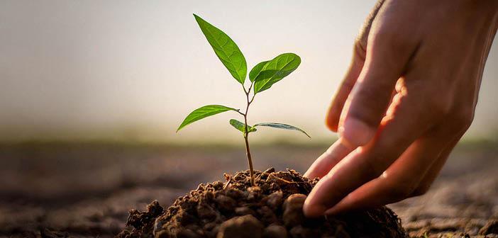 Rasûlullah ﷺ şöyle buyurdu:

“Kötülük işlersen, hemen arkasından iyilik yap ki, o kötülüğü silip süpürsün.” 

(Tirmizî, Birr, 55)