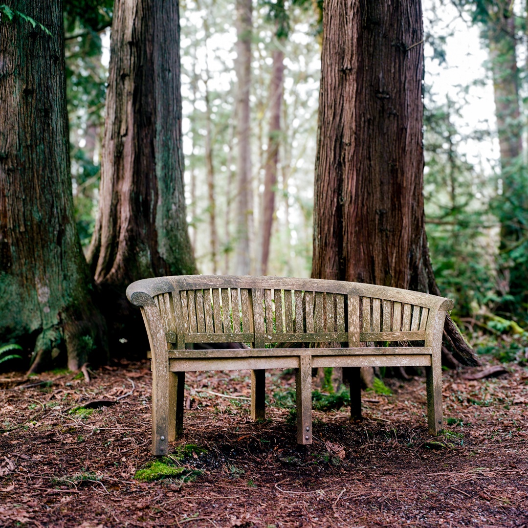 Some conflicts must be managed, meaning they continue between people but they are not allowed to dominate the relationship. We "agree to disagree," we say.  But what are the impacts of that, really?
unfoldingleadership.com/blog/?p=57105