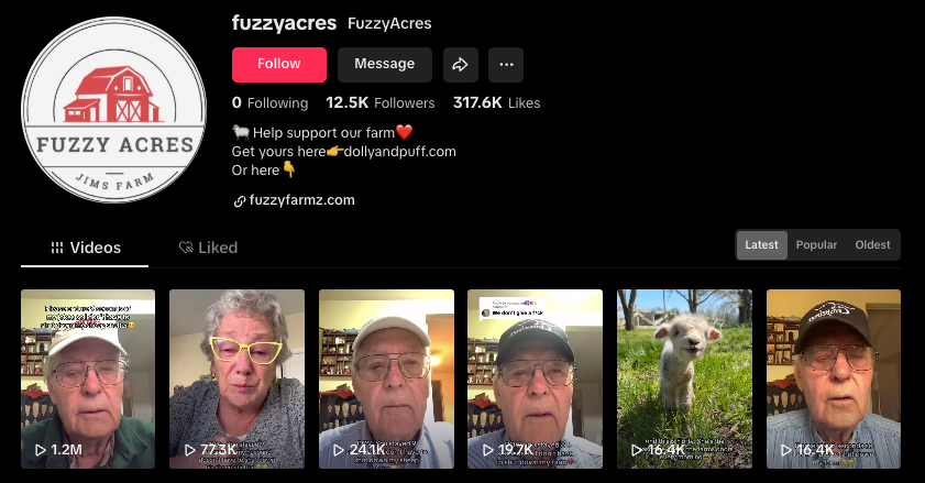 Emily Lai tweet media