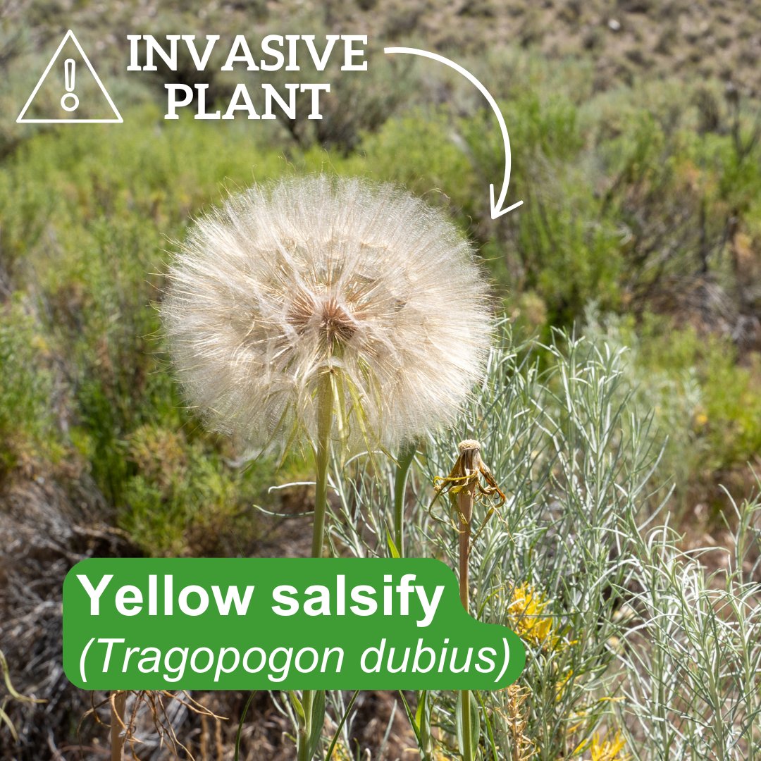 Regional District of Central Okanagan tweet media