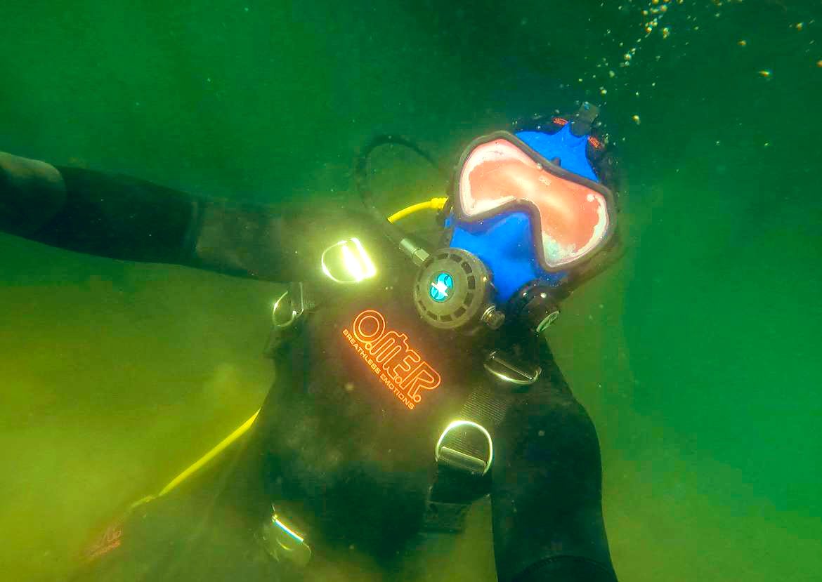 Pupper Ford tweet media